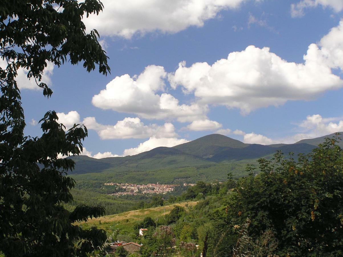 Tenda Glamping Vista Sulla Valle - Podere Di Maggio 圣菲奥拉 外观 照片